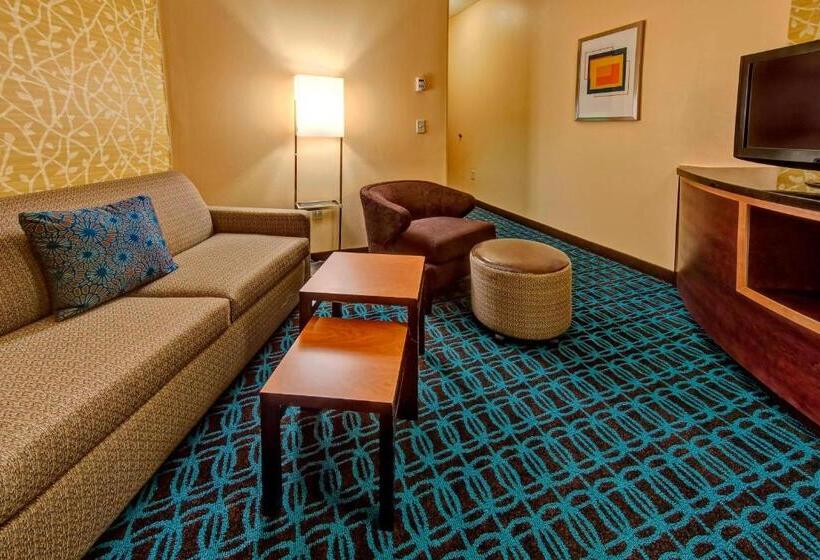 استودیو استاندارد با تخت کینگ, Fairfield Inn & Suites By Marriott Oklahoma City Nw Expressway/warr Acres