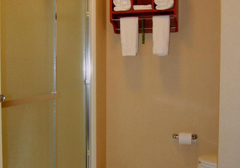 Стандартный Номер Кровать Кинг, Hampton Inn Garden City