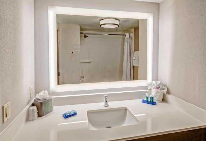 חדר סטנדרט עם מיטת קינג, Holiday Inn Express Hotel & Suites Memphis Southwind, An Ihg