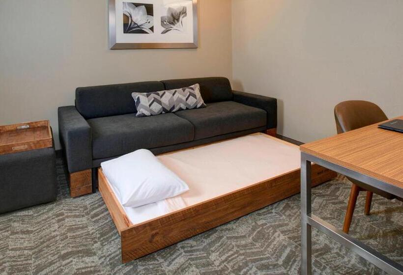 스탠다드 스튜디오 킹침대, Springhill Suites St. Louis Brentwood