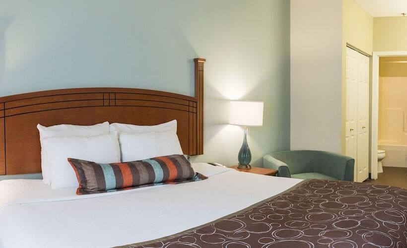 스위트 킹사이즈 침대, Staybridge Suites Fargo By Ihg