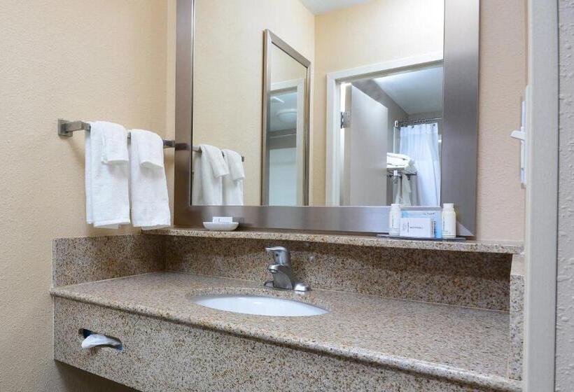 Студио Стандарт Кровать Кинг, Springhill Suites By Marriott Lynchburg Airport/university Area