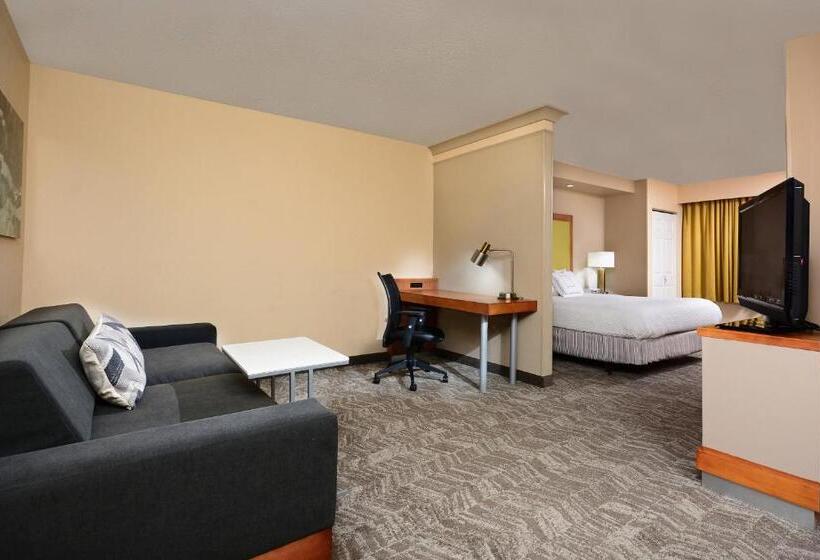 Студио Стандарт Кровать Кинг, Springhill Suites By Marriott Lynchburg Airport/university Area