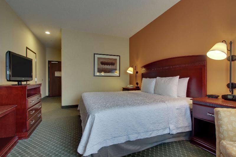 스탠다드 룸 킹사이즈 침대, Hampton Inn & Suites Denver Littleton