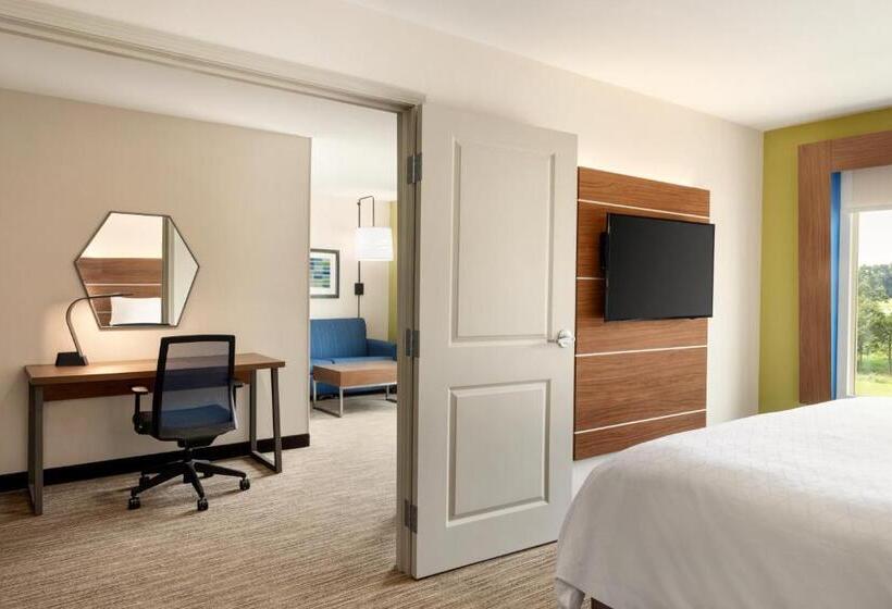 이그제큐티브 스위트 킹침대, Holiday Inn Express & Suites Searcy, An Ihg