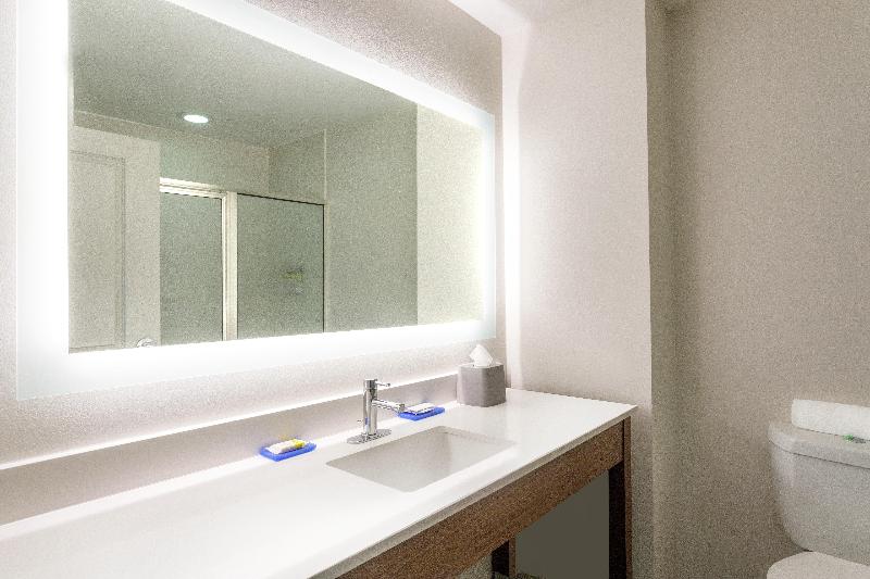 스탠다드 룸 킹사이즈 침대, Holiday Inn Express & Suites Searcy, An Ihg