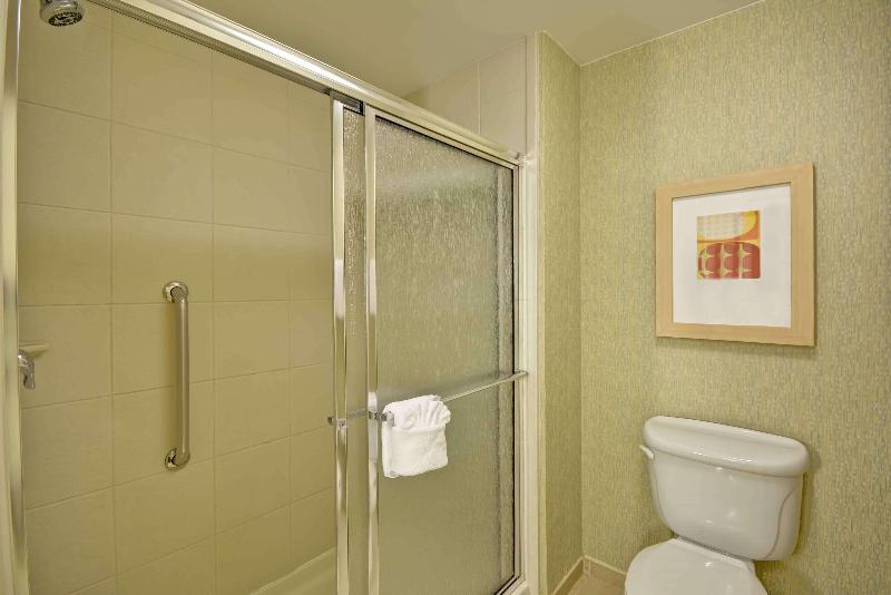 سوئیت با تخت بزرگ, Homewood Suites By Hilton Dallasfrisco