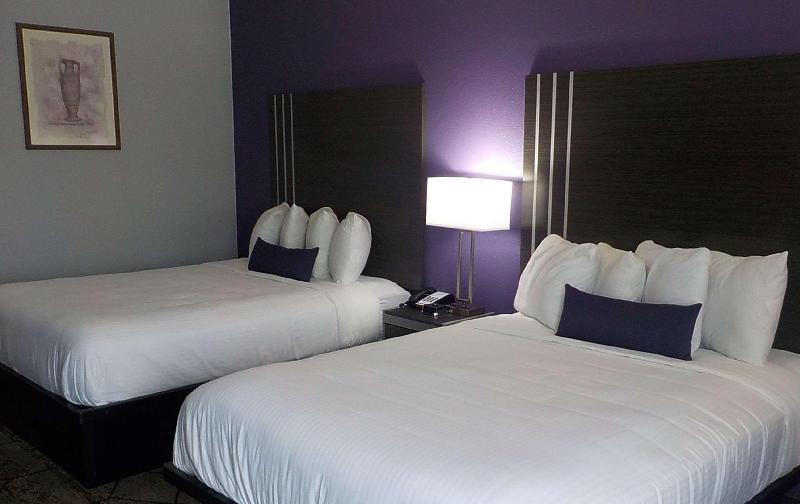اتاق لوکس با تخت بزرگ, Hilton Garden Inn Leiden