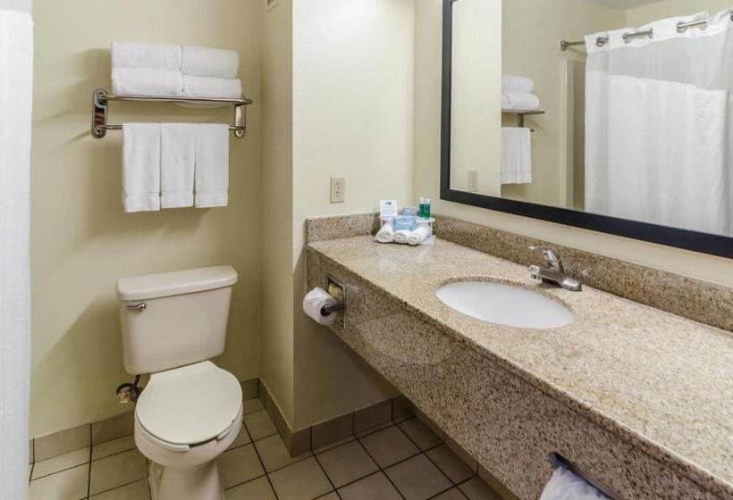 Стандартный Номер Кровать Кинг, Holiday Inn Express Hotel & Suites Vinita, An Ihg
