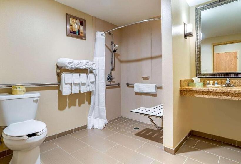 Люкс Адаптированный для Инвалидов, Comfort Suites