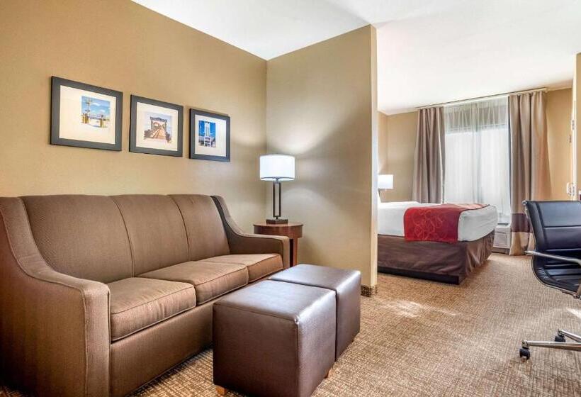 Люкс Адаптированный для Инвалидов, Comfort Suites