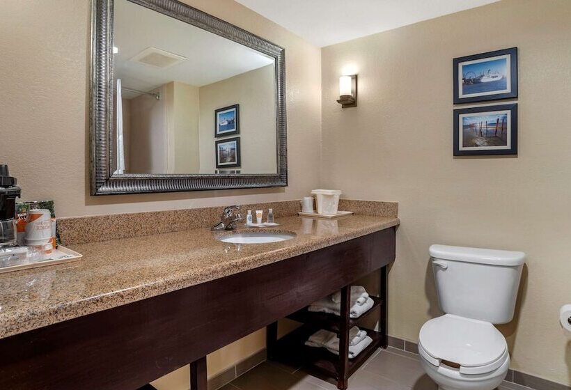 Люкс, Comfort Suites