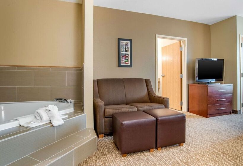 Люкс Адаптированный для Инвалидов, Comfort Suites