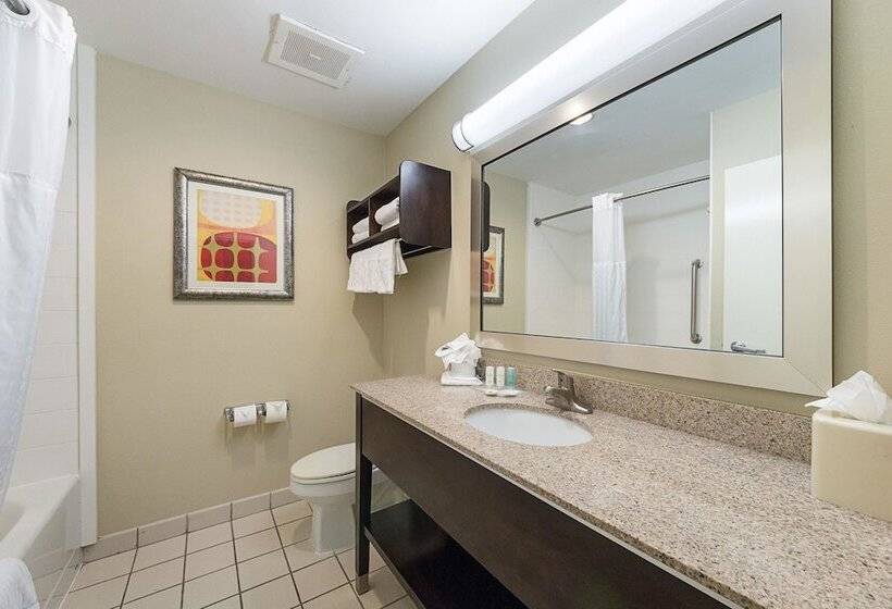 スイート, Comfort Suites Beachside
