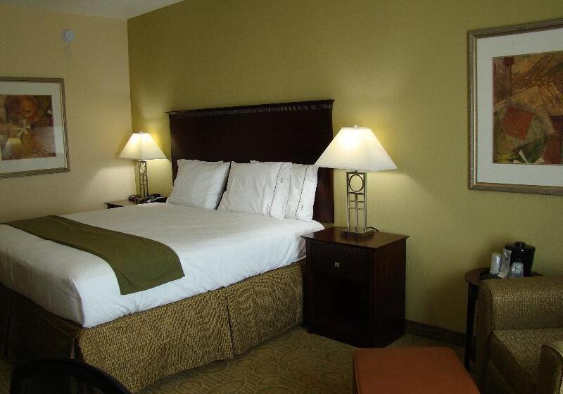 스탠다드 룸 킹사이즈 침대, Holiday Inn Express Hotel & Suites Brownfield By Ihg