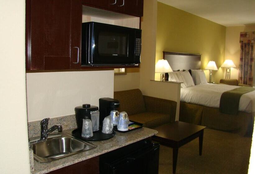 스탠다드 룸, Holiday Inn Express Hotel & Suites Brownfield By Ihg