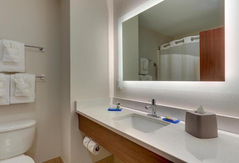 Номер Стандарт, Holiday Inn Express Hotel & Suites Dayton Centerville, An Ihg