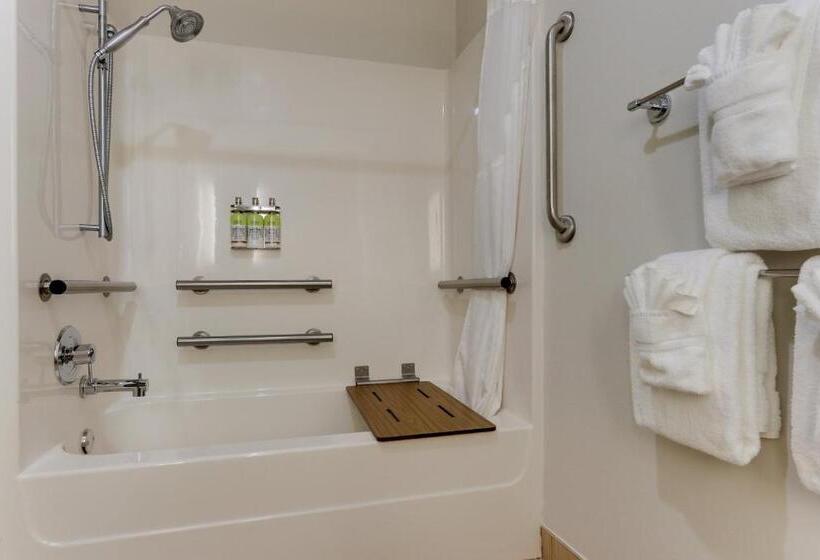 Номер Стандарт Кровать Кинг Адаптированный для Инвалидов, Holiday Inn Express Hotel & Suites Dayton Centerville, An Ihg