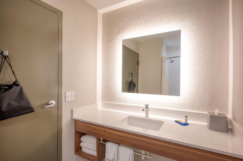 Номер Стандарт, Holiday Inn Express Hotel & Suites Greenville, An Ihg