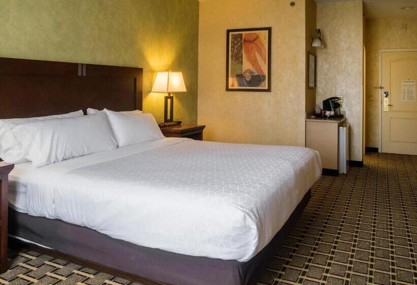 Стандартный Номер Кровать Кинг, Holiday Inn Express Hotel & Suites Youngstown North Warren/niles, An Ihg