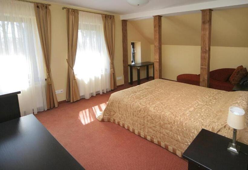 اتاق استاندارد, Grafo Zubovo Hotel & Spa
