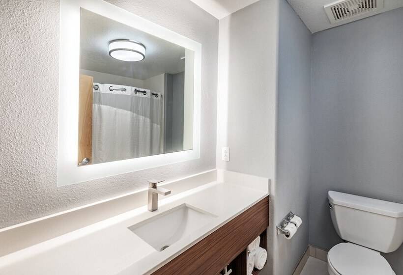 Люкс Адаптированный для Инвалидов, Holiday Inn Express Hotel & Suites Austin Ne Hutto, An Ihg