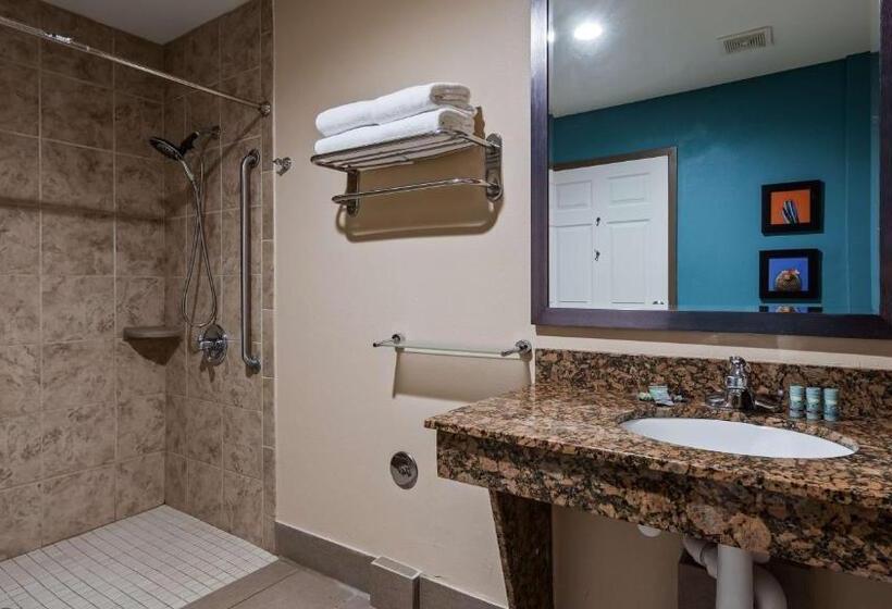Номер Стандарт Кровать Кинг Адаптированный для Инвалидов, Best Western Cannon A.f.b