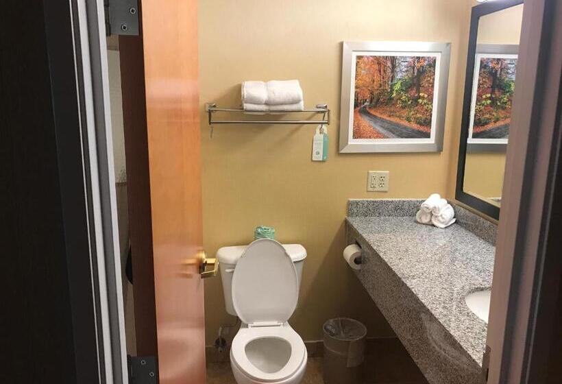 스탠다드 룸 킹사이즈 침대, Best Western Plus New England Inn & Suites