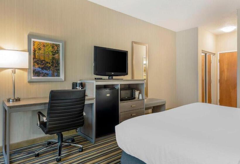 스탠다드 룸 킹사이즈 침대, Best Western Plus New England Inn & Suites