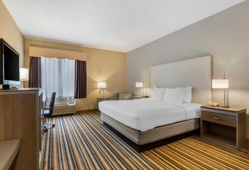 장애인을 위한 킹사이즈 침대 스탠다드 룸, Best Western Plus New England Inn & Suites