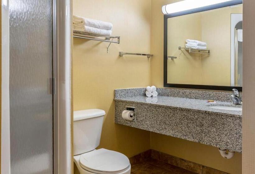 스탠다드 룸 킹사이즈 침대, Best Western Plus New England Inn & Suites