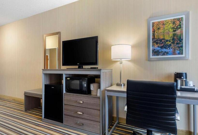 장애인을 위한 킹사이즈 침대 스탠다드 룸, Best Western Plus New England Inn & Suites