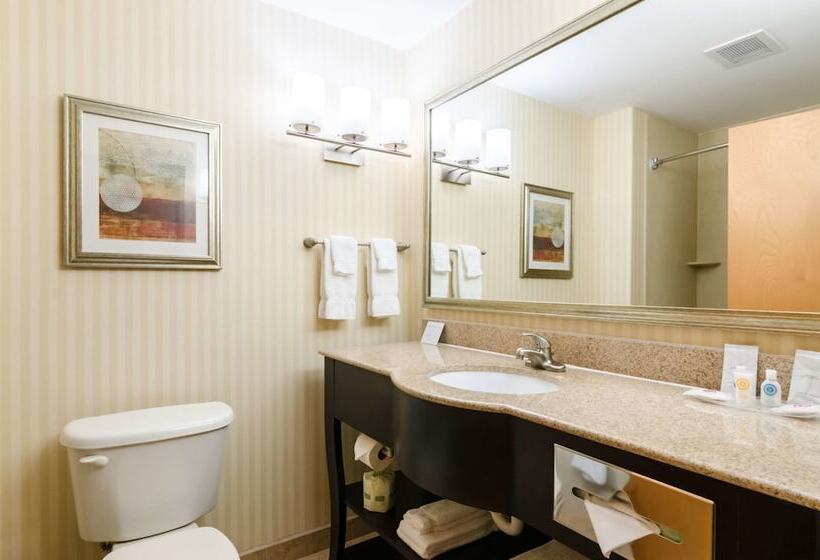 Люкс, Comfort Suites Salina South