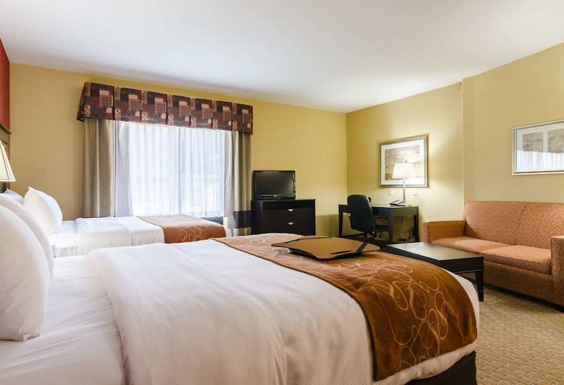 Люкс, Comfort Suites Salina South