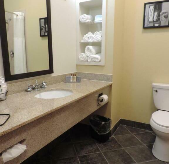 اتاق استاندارد, Wingate By Wyndham Bowling Green