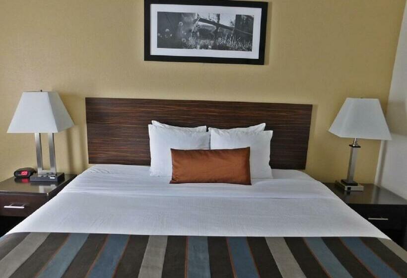 اتاق استاندارد با تخت بزرگ, Wingate By Wyndham Bowling Green