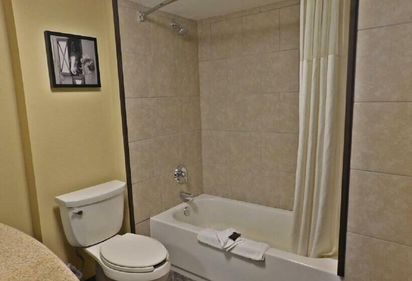 اتاق استاندارد با تخت بزرگ, Wingate By Wyndham Bowling Green
