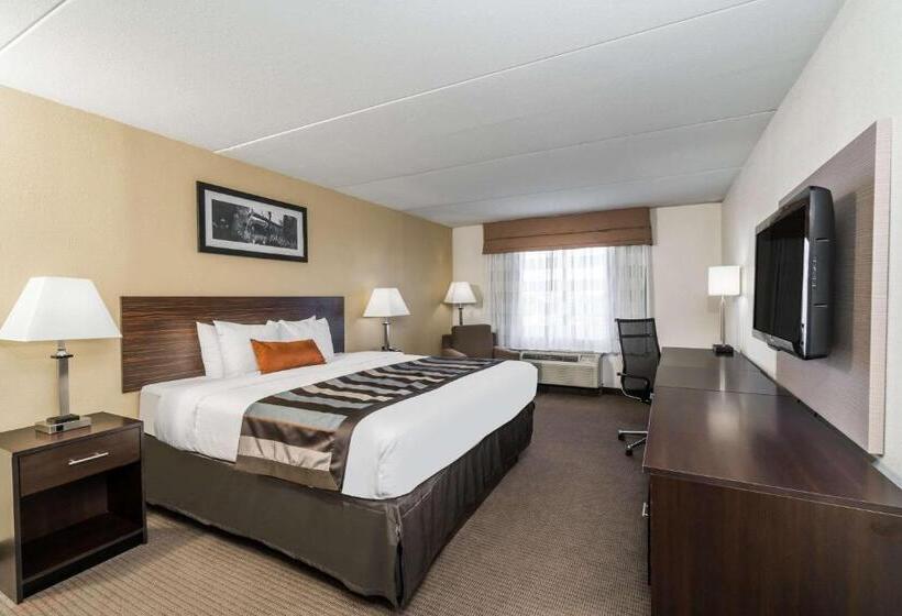 اتاق استاندارد با تخت بزرگ, Wingate By Wyndham Bowling Green