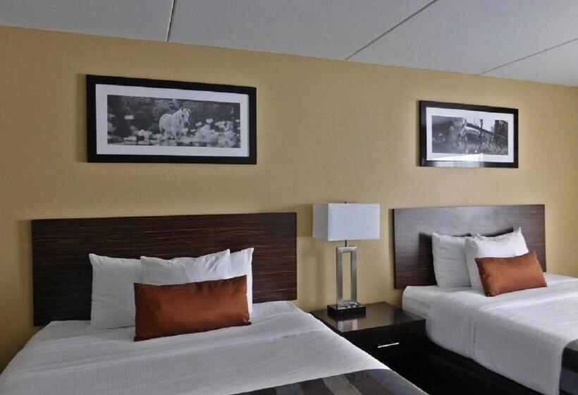 استودیوی استاندارد, Wingate By Wyndham Bowling Green