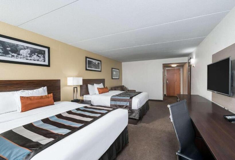 استودیوی استاندارد, Wingate By Wyndham Bowling Green