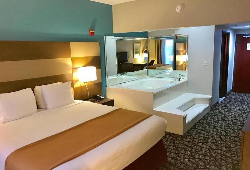 Стандартный Номер Кровать Кинг, Best Western Executive Inn