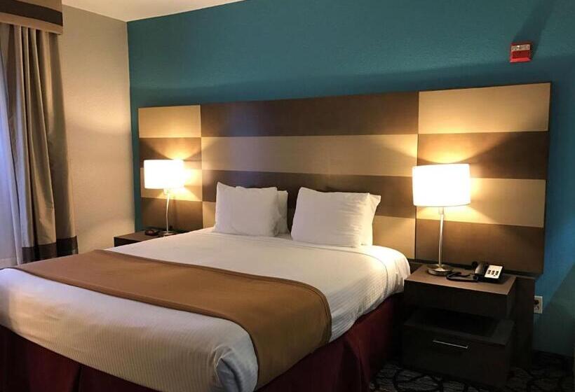 Номер Стандарт Кровать Кинг Адаптированный для Инвалидов, Best Western Executive Inn