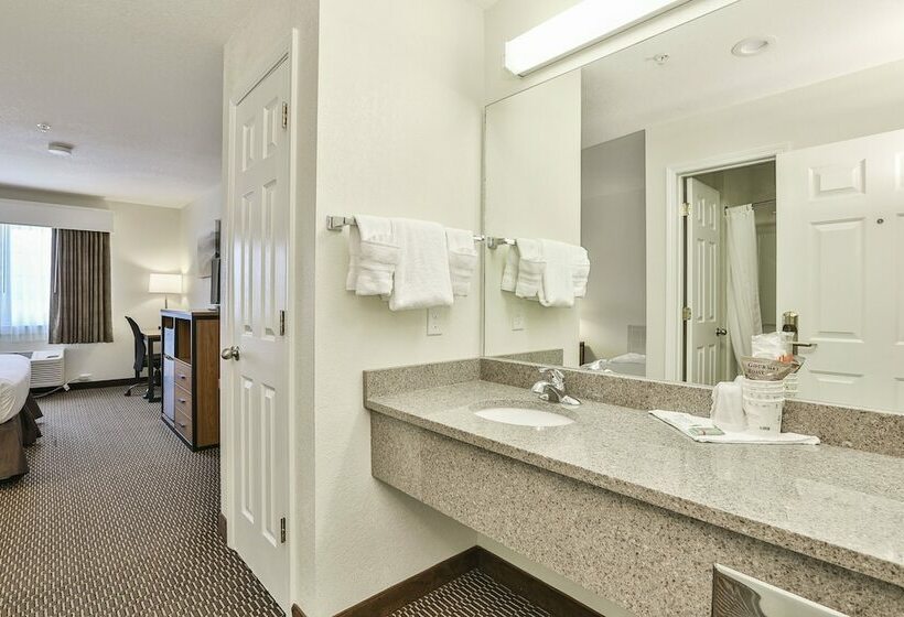 스탠다드 룸 더블 침대, Best Western Mountain View Inn