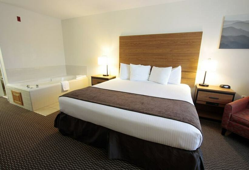 스탠다드 룸 더블 침대, Best Western Mountain View Inn