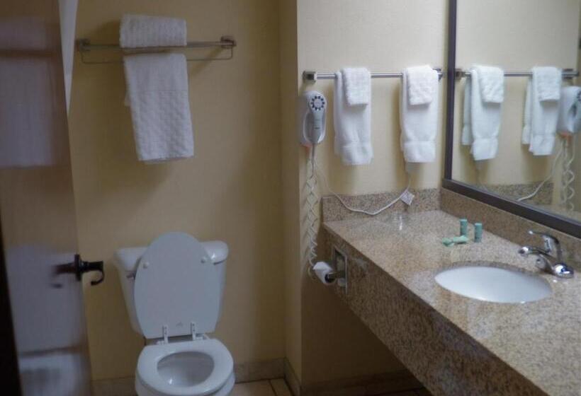 Стандартный Номер Кровать Кинг, Best Western Of Wise