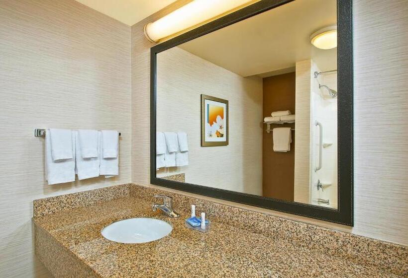 行政套房, Fairfield Inn & Suites By Marriott Chattanooga South East Ridge