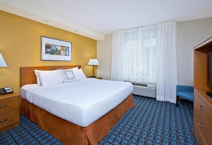 带大床的套房, Fairfield Inn & Suites By Marriott Chattanooga South East Ridge