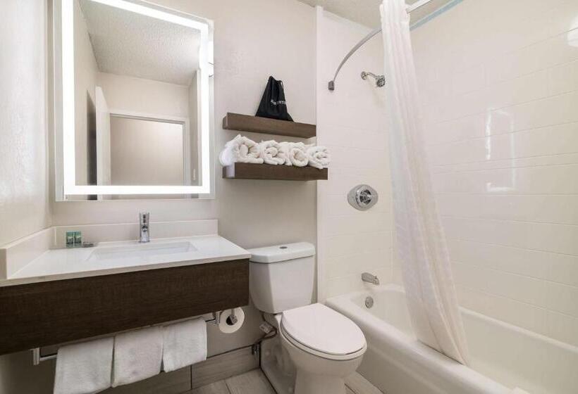 Номер Стандарт Адаптированный для Инвалидов, Best Western Plymouth Innwhite Mountains