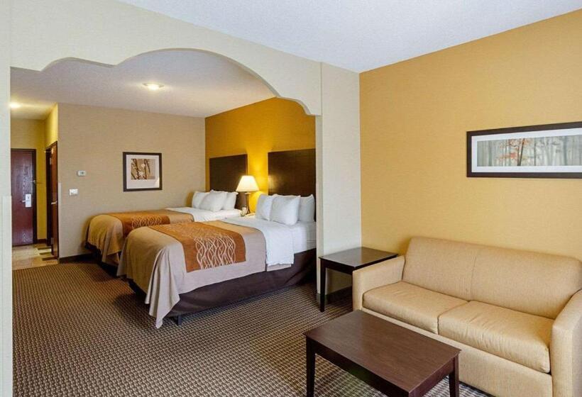 套房, Comfort Inn & Suites