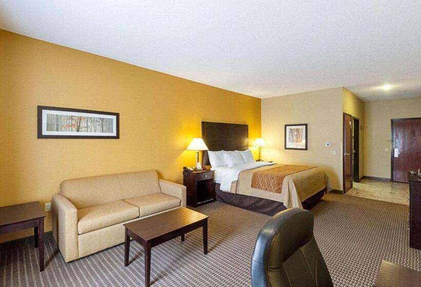 适合残疾人士使用的带超级大床的标准间, Comfort Inn & Suites